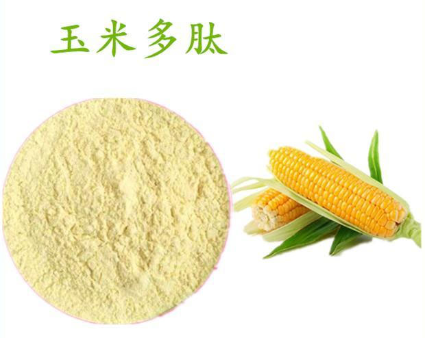 玉米肽